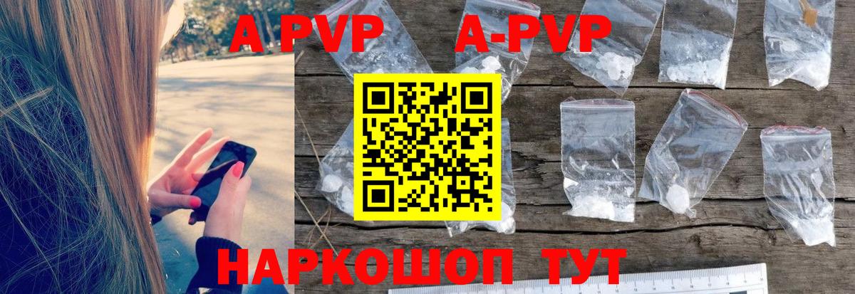 Alfa_PVP СК Клинцы