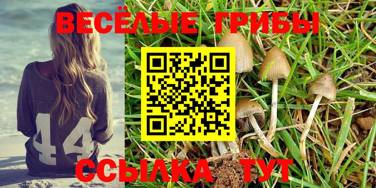 продажа наркотиков  Галлюциногенные грибы GOLDEN TEACHER  Клинцы  Вход с VPN  Галлюциногенные грибы Cubensis 